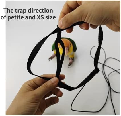 Petite parrot harness strap adjustment mechanism close up