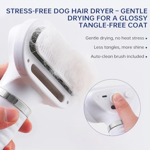 Raiwav pet grooming tool showing heat control settings