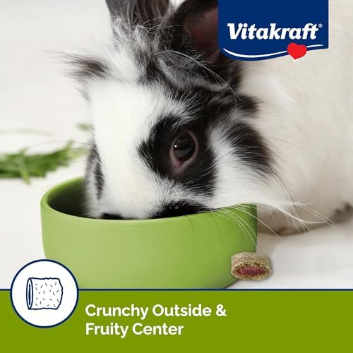 Vitakraft Bursts crunchy timothy hay shell snack close up