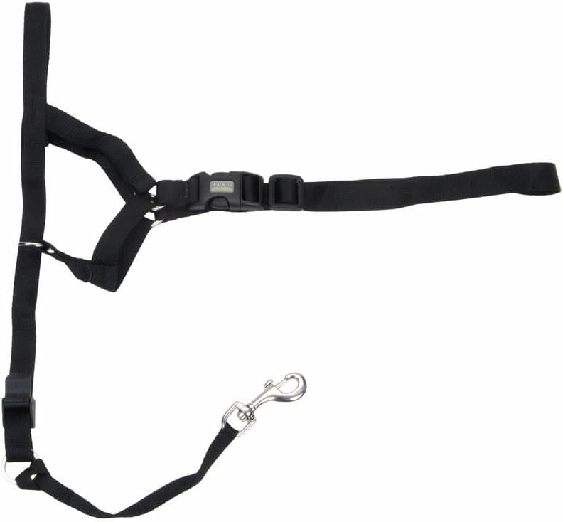 Durable anti pulling pet lead accessory attached to a dog collar setup