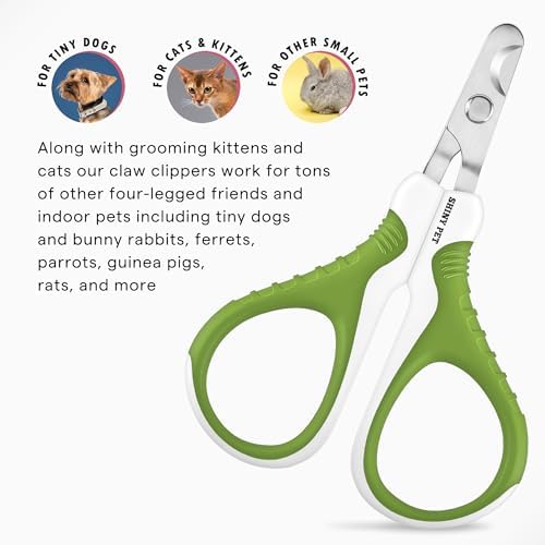 Detangling pet comb with steel pins demonstrating mat removal capabilities for small animal coats