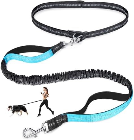 Blue and black shock absorbing bungee dog leash extended view for running.