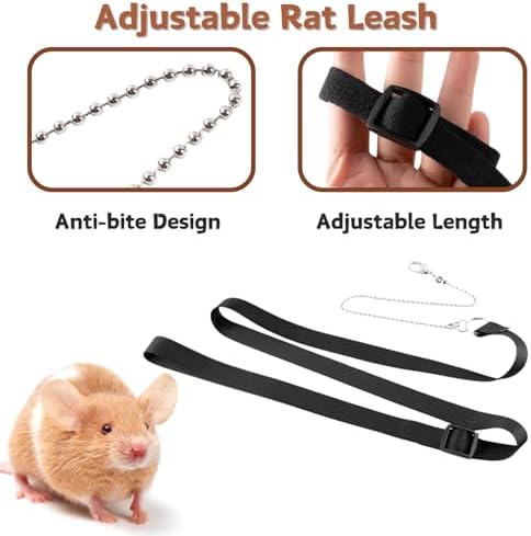 Pet rat wearing the brown soft leather protective chest harness comfortably