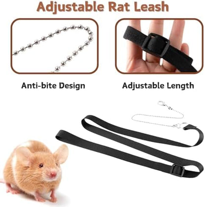 Pet rat wearing the brown soft leather protective chest harness comfortably