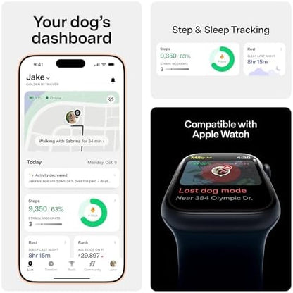 Smartphone application displaying real time location tracking and escape alerts from the pet device.
