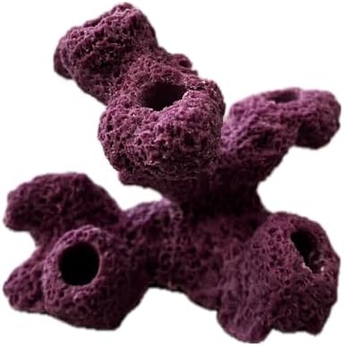 Ocean Aquaria Coralline Purple Frag Rock side view holding marine coral plugs