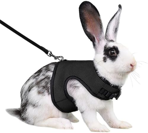 Teleyi breathable soft mesh small pet vest clothes with adjustable straps