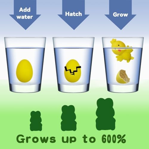 Demonstration of the twelve to twenty-four hour egg cracking and hatching process in a clear water glass