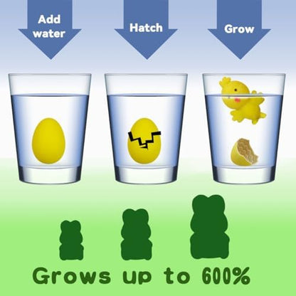 Demonstration of the twelve to twenty-four hour egg cracking and hatching process in a clear water glass