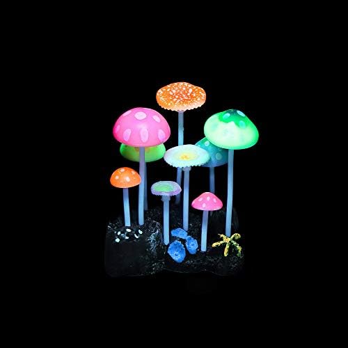 Complete 4-piece glowing marine decor package layout