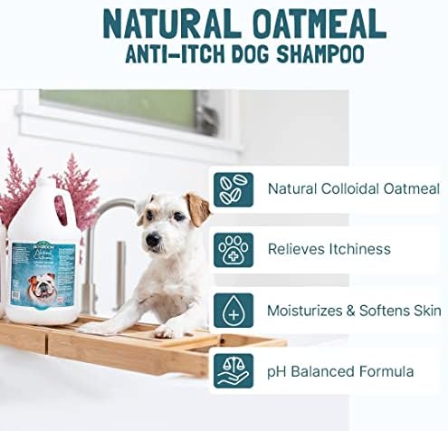 Bio Groom natural oatmeal shampoo imported from USA for itchy dogs
