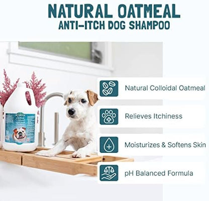Bio Groom natural oatmeal shampoo imported from USA for itchy dogs