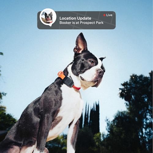 Fi Mini tracking device for cats showing the waterproof design in outdoor rainy conditions.