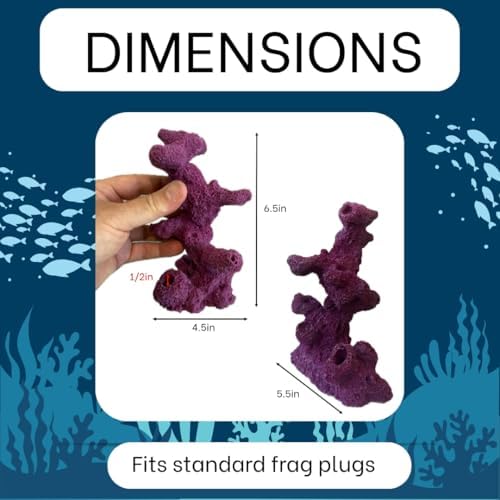 Ocean Aquaria coralline purple torch tower showing staggered plug arrangement for large polyp stony corals