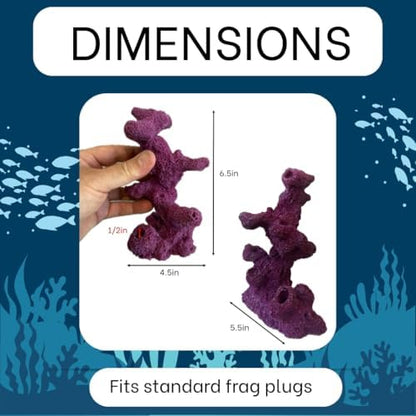 Ocean Aquaria coralline purple torch tower showing staggered plug arrangement for large polyp stony corals