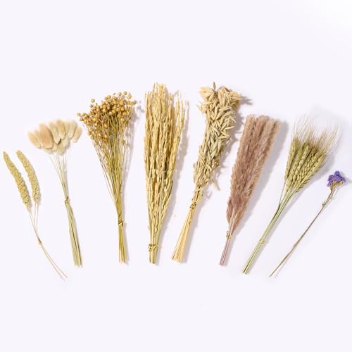 BUCATSTATE 60PCS Natural Hamster Bedding - Flowers & Herbs & Sprays for Cage Habitat Decor - Treat Cereal Grain for Dwarf Syrian Gerbils, Mice, Rat, Forage, Enrichment. - Image 5