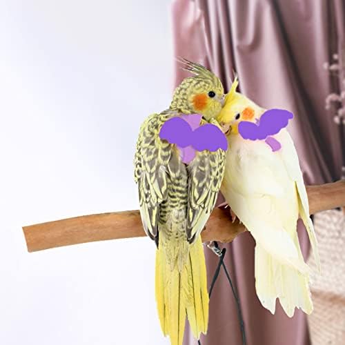 Durable nylon leash handle for parrot walking and training