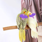 Durable nylon leash handle for parrot walking and training