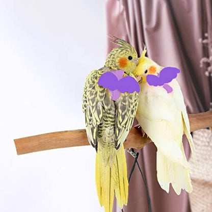 Durable nylon leash handle for parrot walking and training