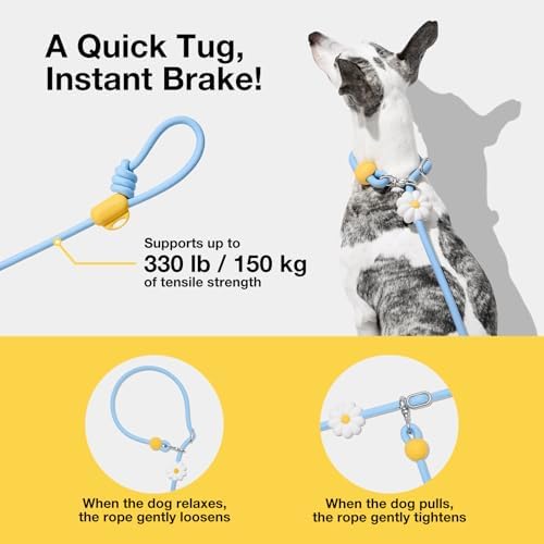VETRESKA light blue daisy pattern rope slip lead details