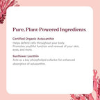 Pure Synergy antioxidant supplement bottle side profile