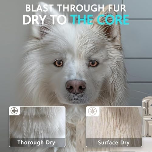 Professional dog hair dryer showing extendable hose
