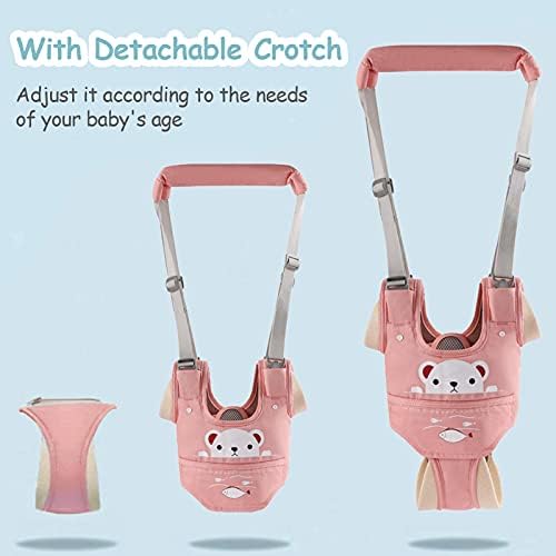 Detachable crotch feature on Ocanoiy walking harness