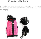 WeimoMonkey escape proof training lead connected safely to the back of the blue mesh vest