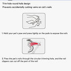 Demonstration of cat and kitten nail trimming with safety guard
