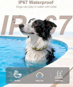 IP67 waterproof pet shock collar receiver showing durable contact points.