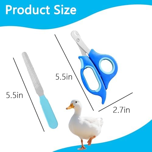 Premium stainless steel bird toe nail cutter showing sharp crescent blades