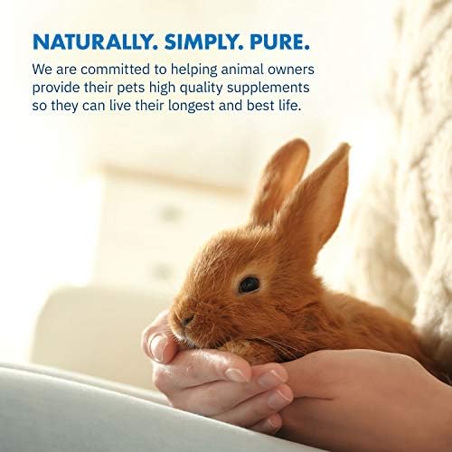 Equa Holistics HealthyGut Probiotics lifestyle and rabbit care view