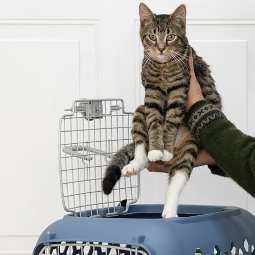 Compact foldable design assembly process for a portable plastic dog kennel