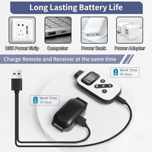Rechargeable electric dog training collar with adjustable sensitivity levels for large dogs