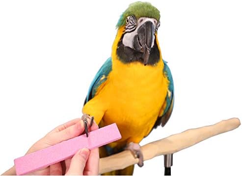 Parrot Wizard stone displayed with bird grooming essentials