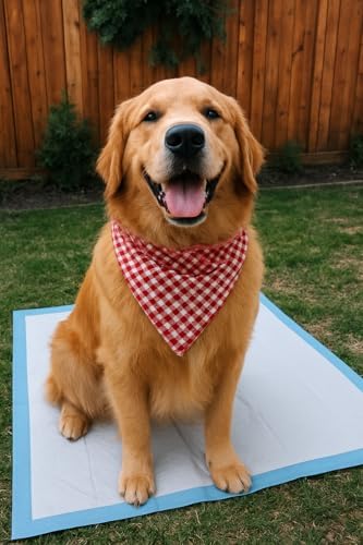 Caring absorbent pet training pads stack with 5-layer core detail