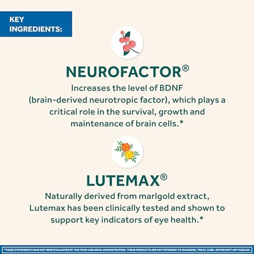 Neuriva supplement key ingredients lutein and coffee cherry extract