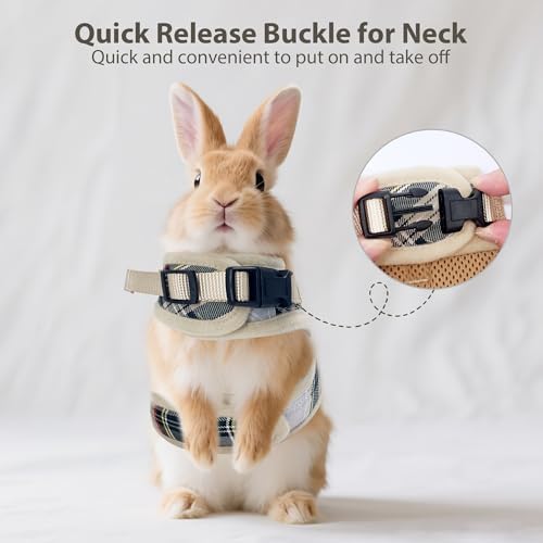 Aiitle adjustable rabbit walking vest emphasizing the dual metal D-rings and quick-release safety buckle.
