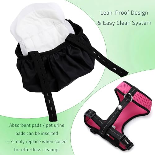 Yesito training harness secured on small pet duck