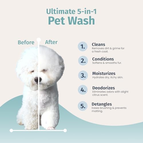 Honest Paws 16 fluid ounce dog wash with moisturizing oatmeal and aloe extracts
