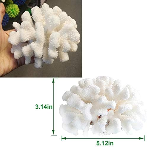 Scale comparison of Besimple resin coral ornament