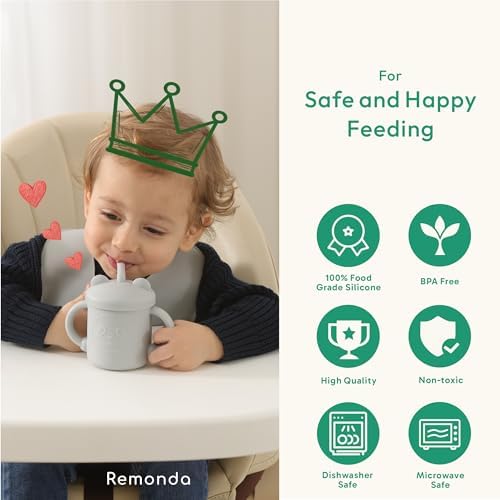 Remonda baby suction plate with divided sections and lid