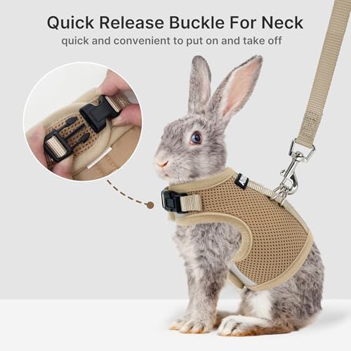 AIITLE adjustable rabbit harness showcasing the widened high strength magic tape closure system close up