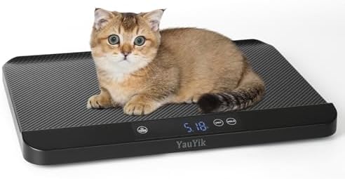 YauYik small animal weight scale with a kitten sitting on the carbon fiber mat.
