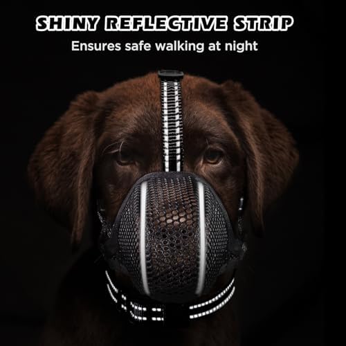 Bonthee dog muzzle worn by a happy medium sized dog