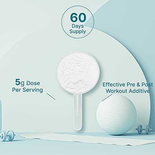 Top view of Deal Supplement Creatine packaging