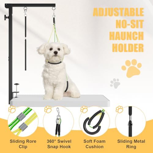 Small dog being groomed on a table using the Bearfire arm