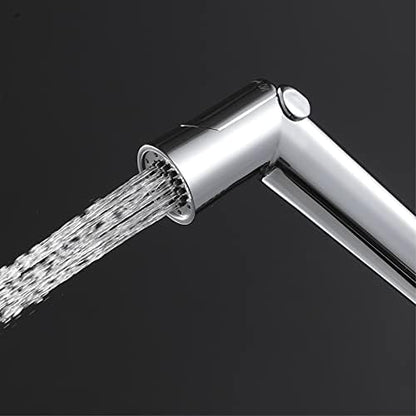 Handheld toilet sprayer with stainless steel hose and wall mount