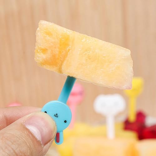 Close up view of safe food grade material children lunch accessories