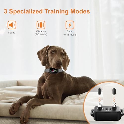 Modus handheld training transmitter with digital color screen